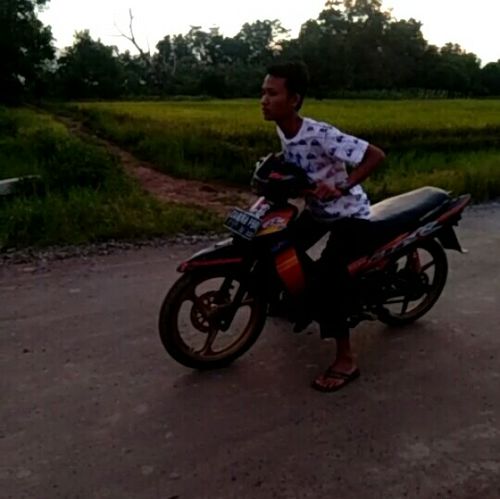 Avatar